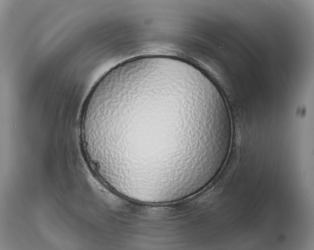 X0000115011471200911091410