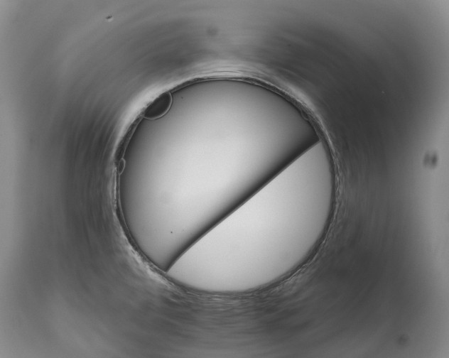 X0000115011472200911091410