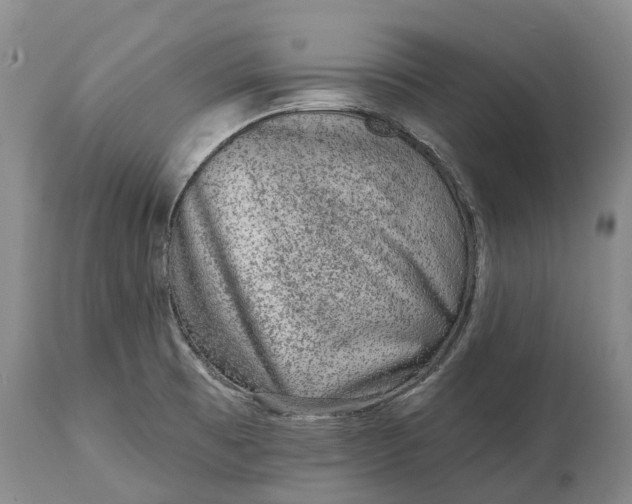 X0000115011473200911091410