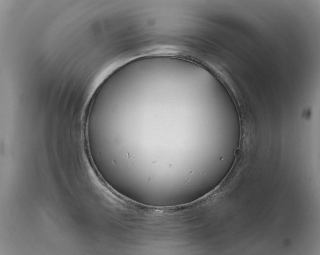 X0000115011475200911091410