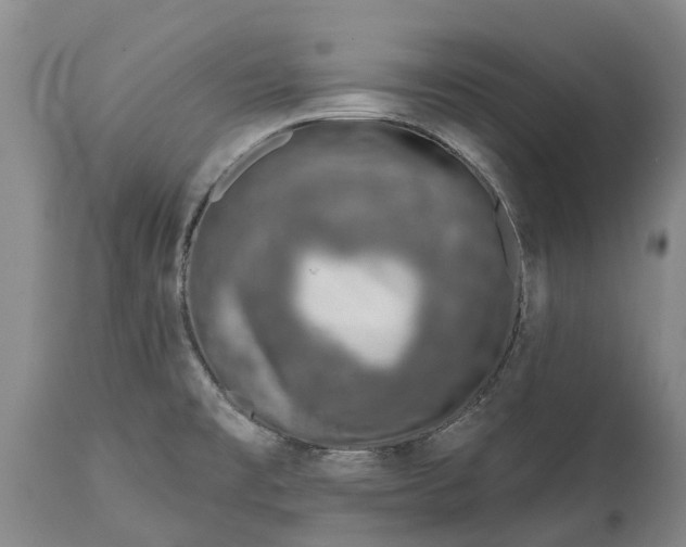 X0000115011477200911091410