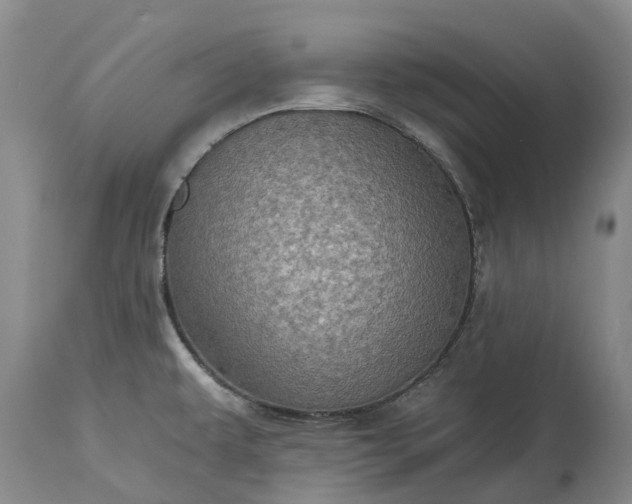 X0000115011479200911091410