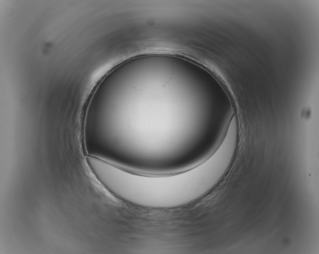 X0000115011480200911091410
