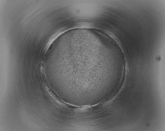 X0000115011481200911091410