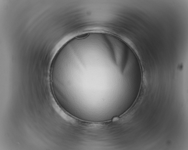 X0000115011482200911091410