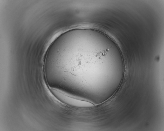 X0000115011483200911091409