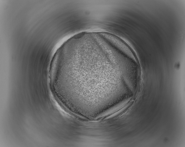 X0000115011485200911091409