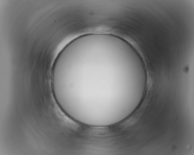 X0000115011486200911091409