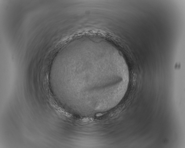 X0000115011489200911091409