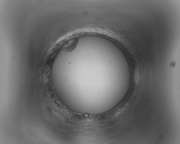 X0000115011494200911091409