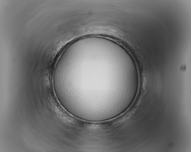 X0000115011497200911091409