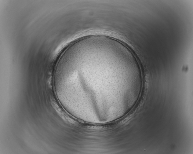 X0000115011499200911091409