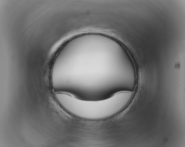 X0000115011502200911091409