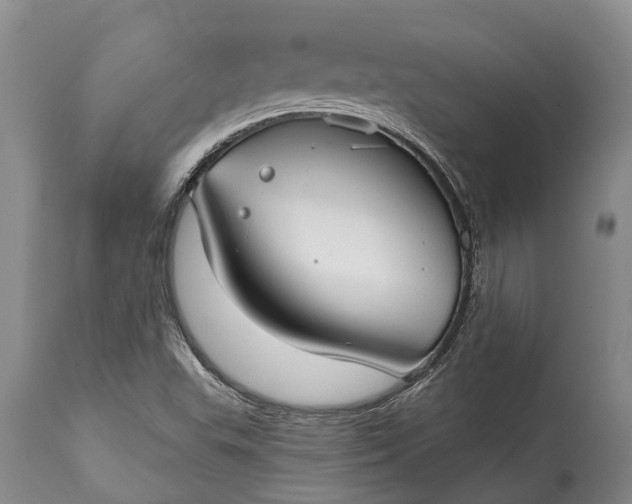 X0000115011503200911091409
