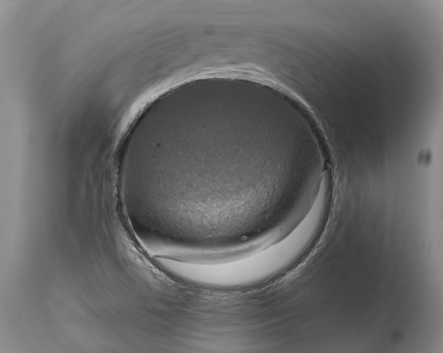 X0000115011506200911091409