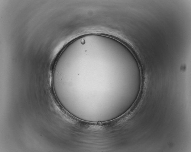 X0000115011509200911091409