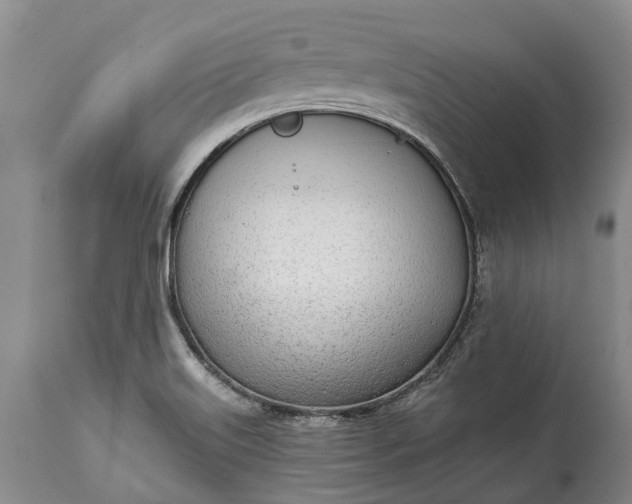 X0000115011515200911091409