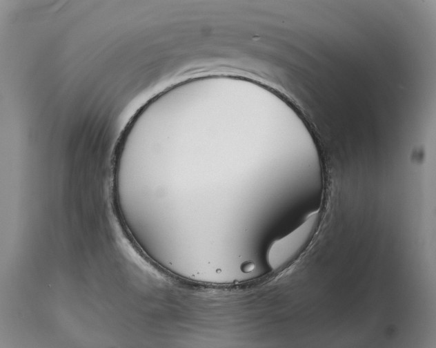 X0000115011518200911091409