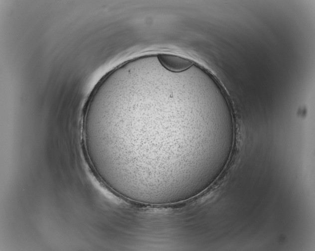X0000115011519200911091409