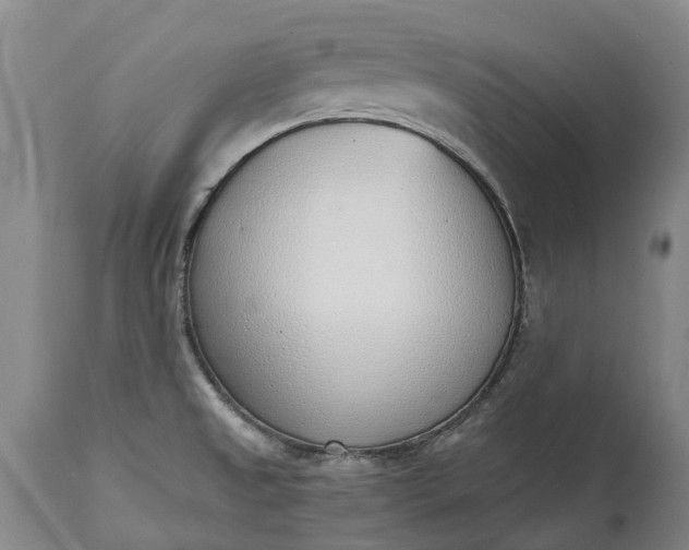 X0000115011525200911091409
