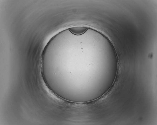 X0000115011526200911091409
