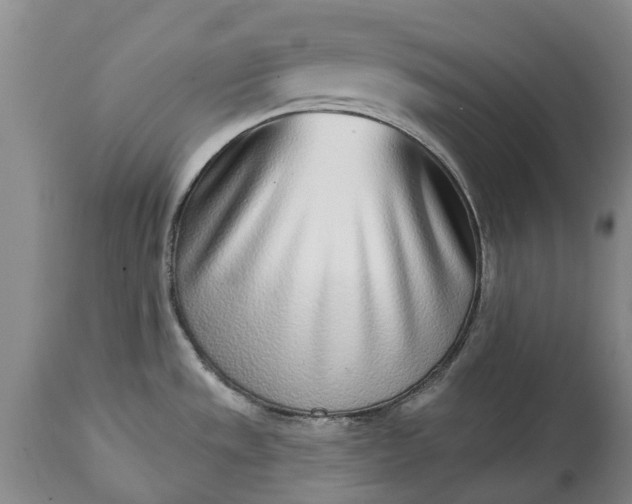X0000115011533200911091409