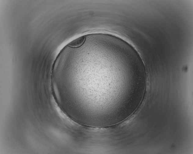 X0000115011534200911091409