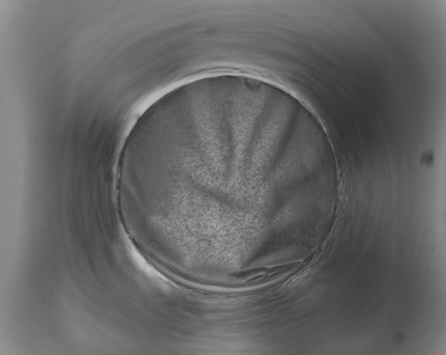 X0000115011535200911091409