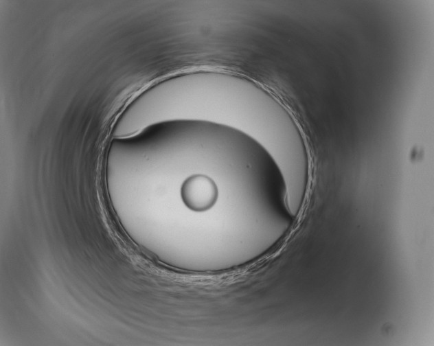 X0000115010001200911161612