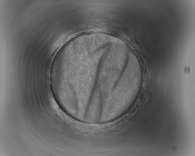 X0000115010002200911161612