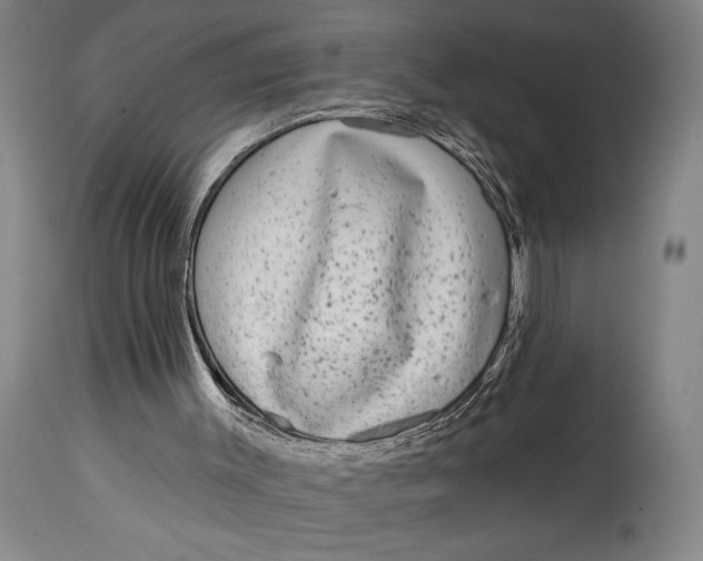 X0000115010003200911161612