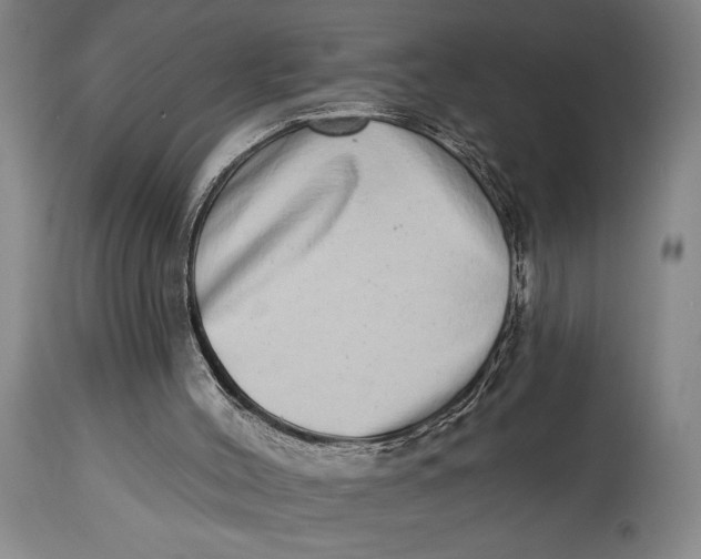 X0000115010004200911161612
