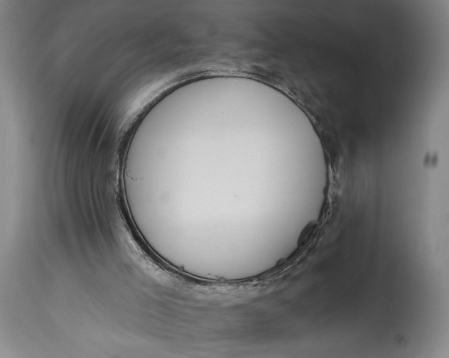 X0000115010005200911161612