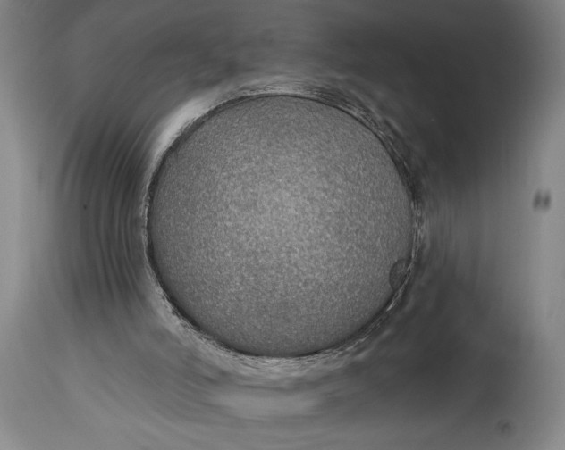 X0000115010006200911161612