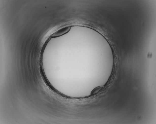 X0000115010007200911161612