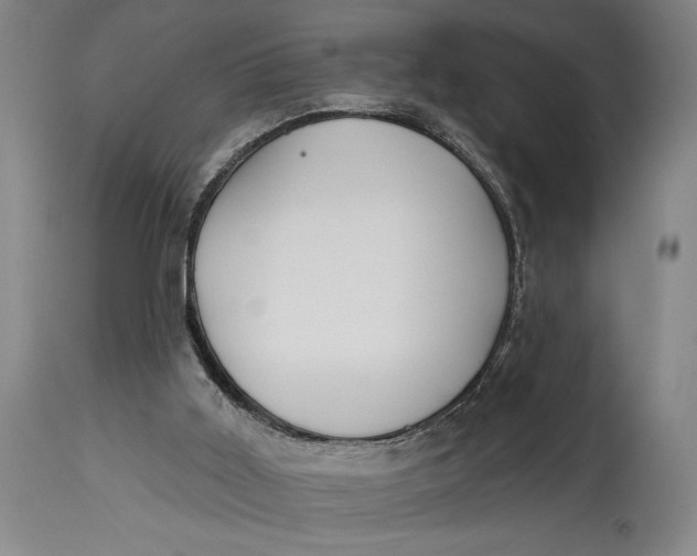 X0000115010011200911161611