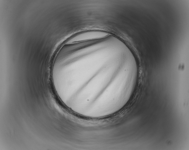 X0000115010012200911161611