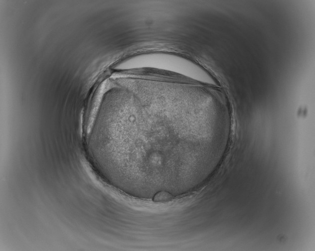 X0000115010014200911161611