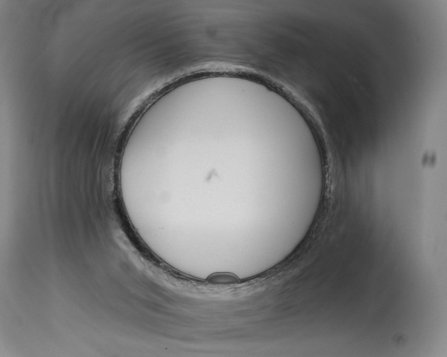 X0000115010015200911161611