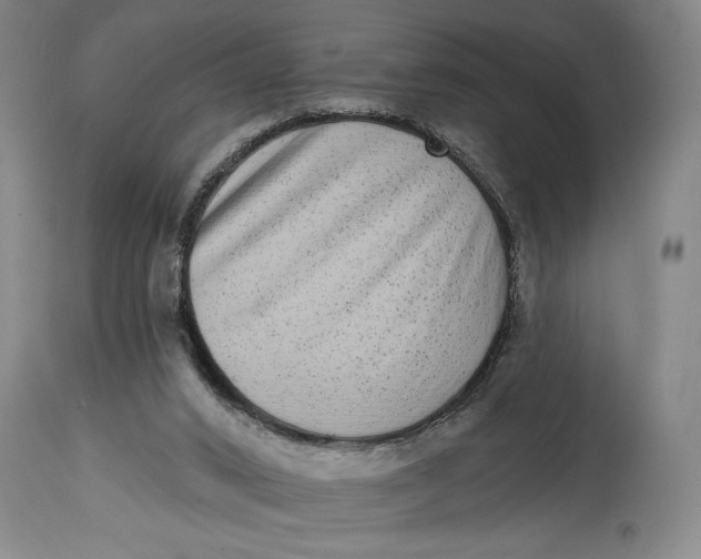 X0000115010016200911161611