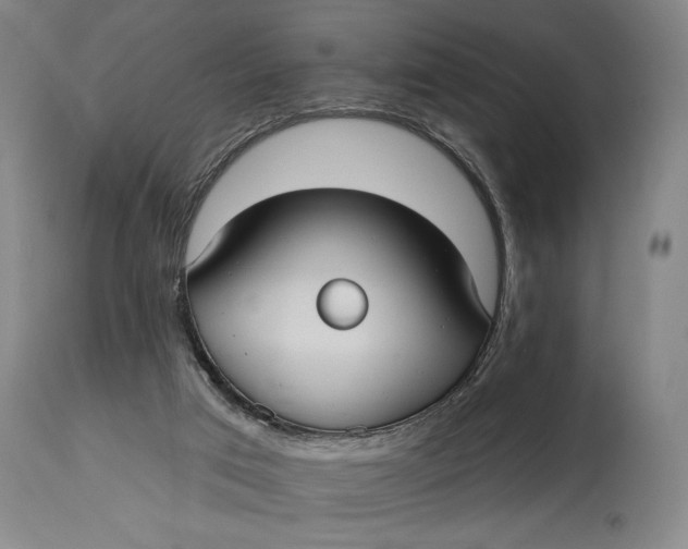 X0000115010017200911161611