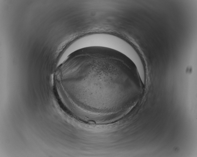 X0000115010019200911161611