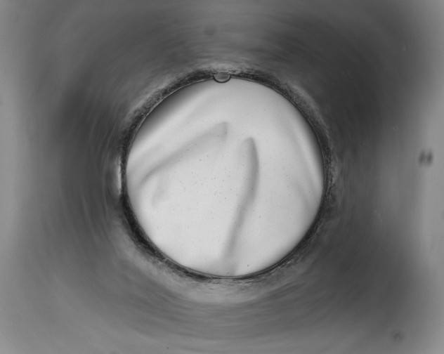 X0000115010020200911161611