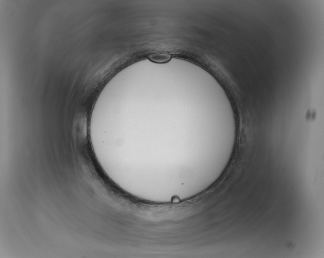 X0000115010021200911161611