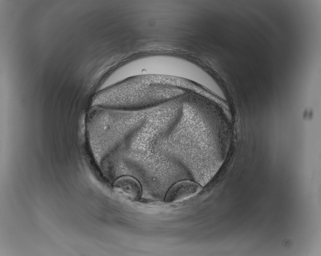 X0000115010024200911161611