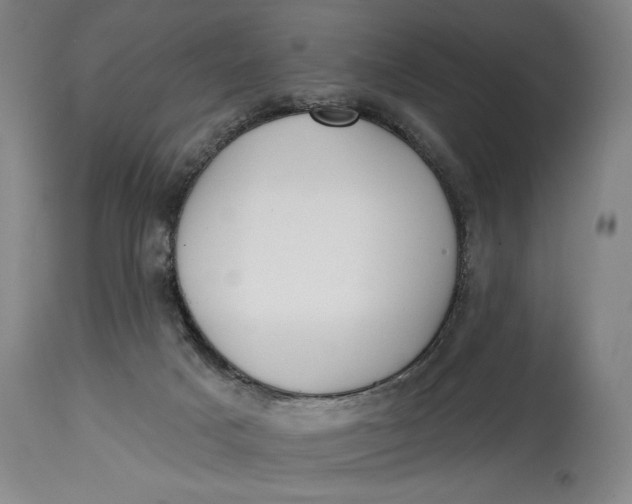 X0000115010025200911161611