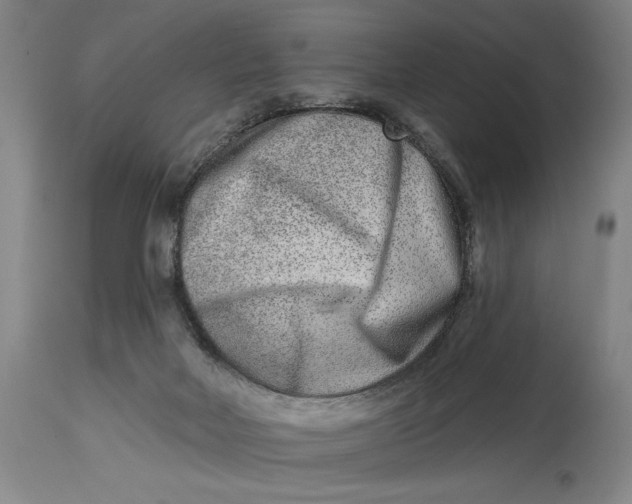 X0000115010026200911161611