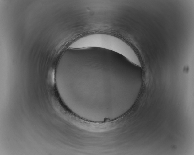 X0000115010027200911161611