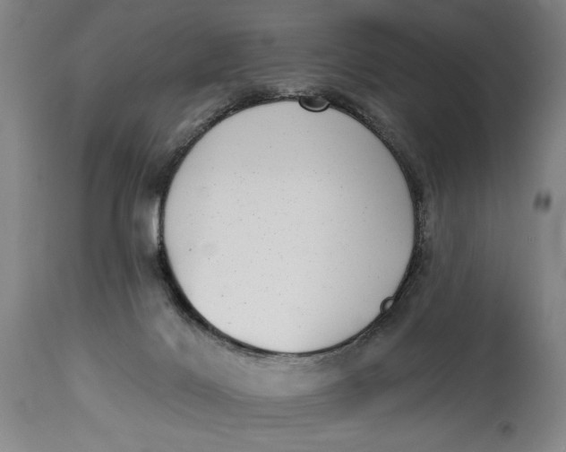 X0000115010028200911161611