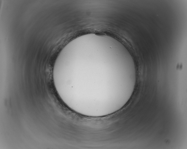 X0000115010029200911161611